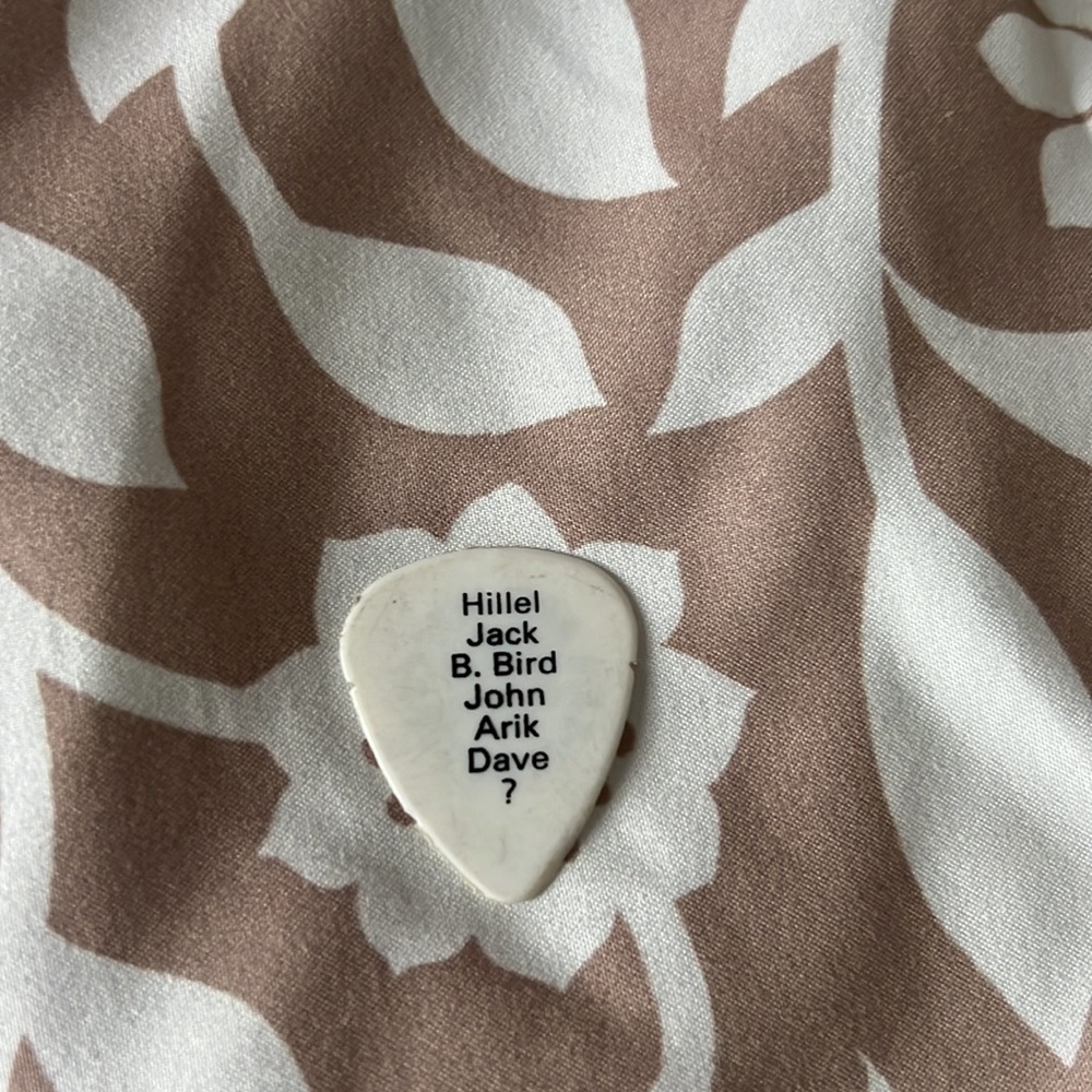 RHCP 1993 used Dave Navarro pick